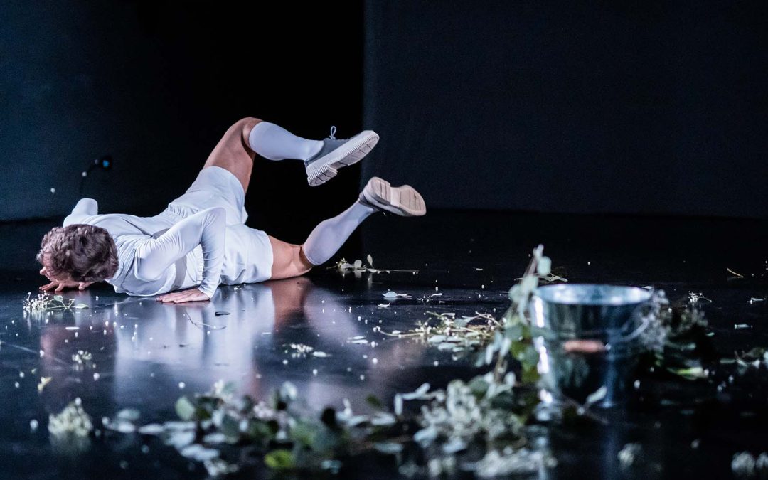 Canarias dentro y fuera lleva a tres artistas isleños al Festival Dissidance Itinerance de Córcega